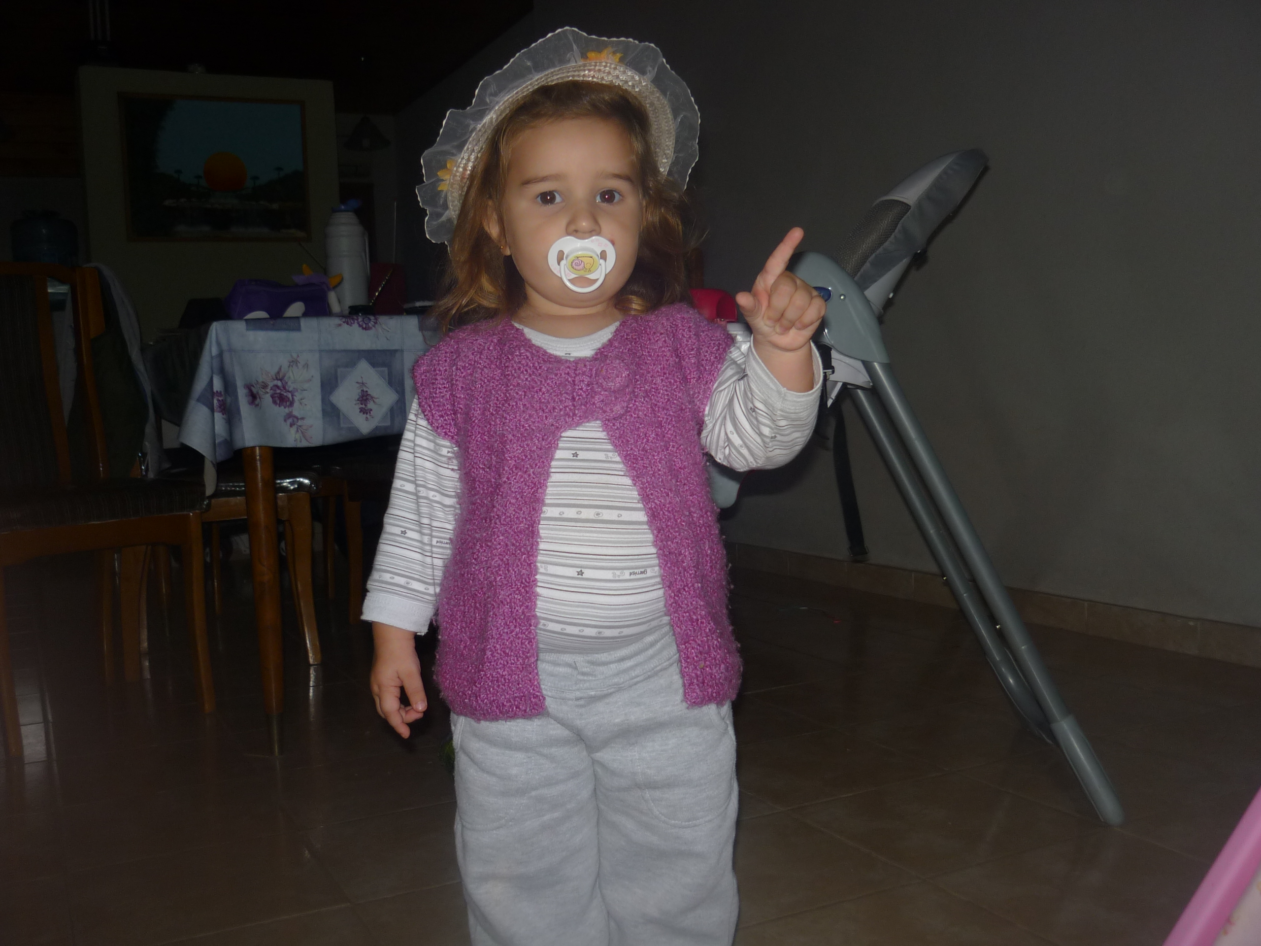 fotos/2012-12-10 - Iara/P1020737.JPG